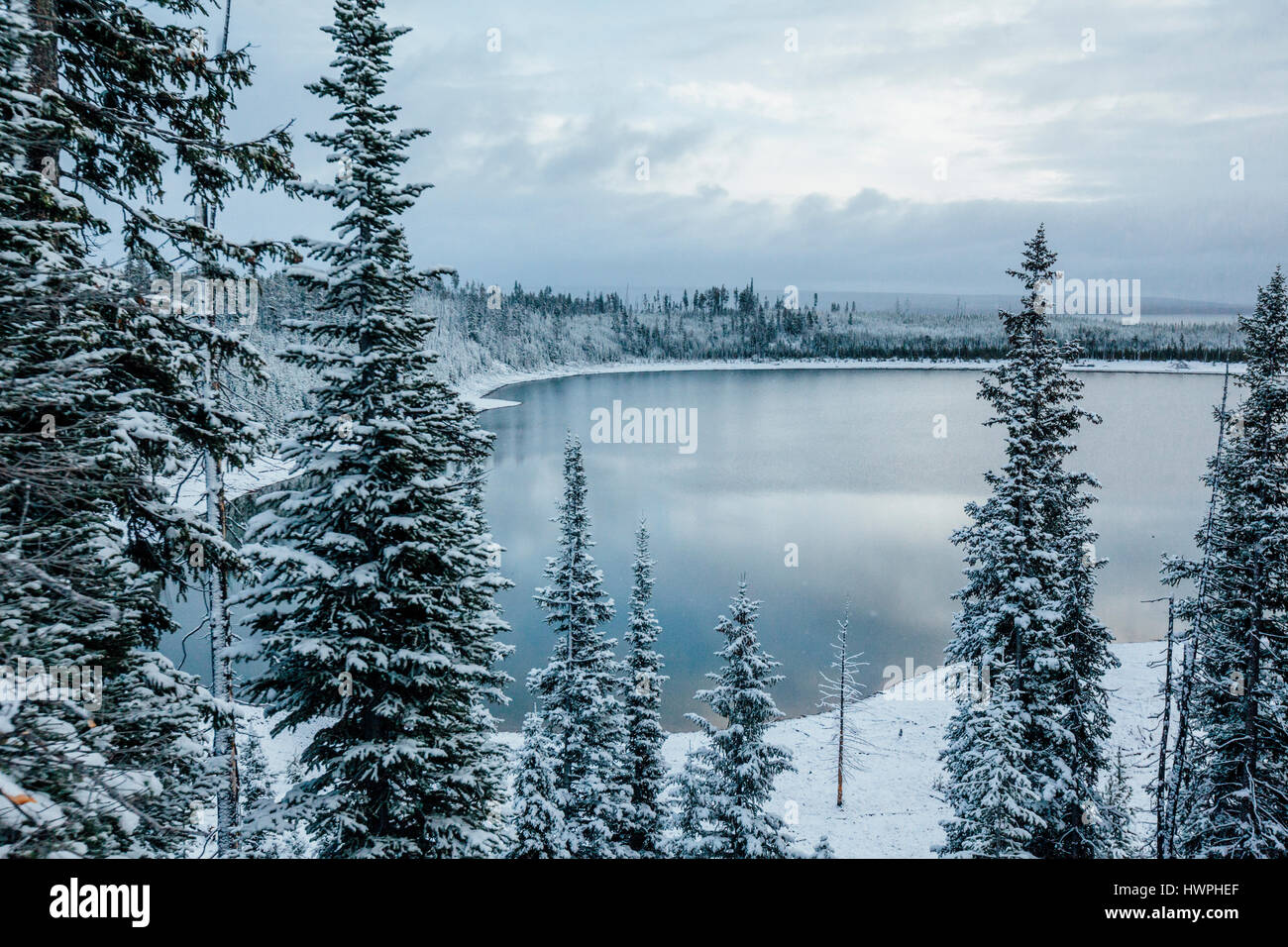 Herrliche Sicht auf See von gefrorenen Bäumen gegen bewölktem Himmel Stockfoto