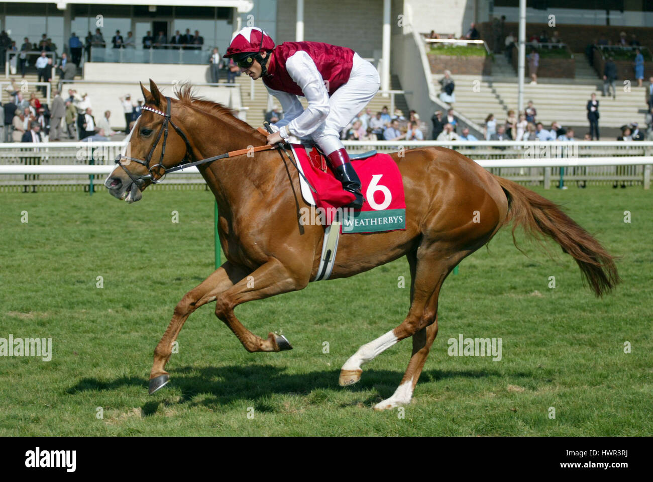 MIT Grund GERITTEN von L.DETTORI NEWMARKET ENGLAND 16. April 2003 Stockfoto