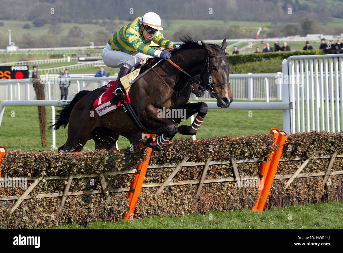 BARACOUDA von T.DOUMEN CHELTENHAM RACECOURSE CHELTENHAM 13. März 2003 GERITTEN Stockfoto