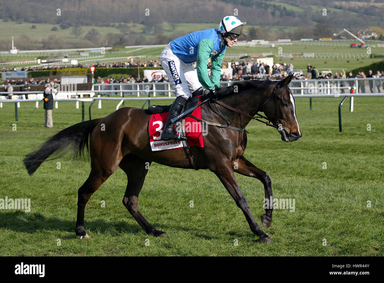 KLASSIFIZIERTE GERITTEN von T.MCCOY CHELTENHAM RACECOURSE CHELTENHAM 13. März 2003 Stockfoto