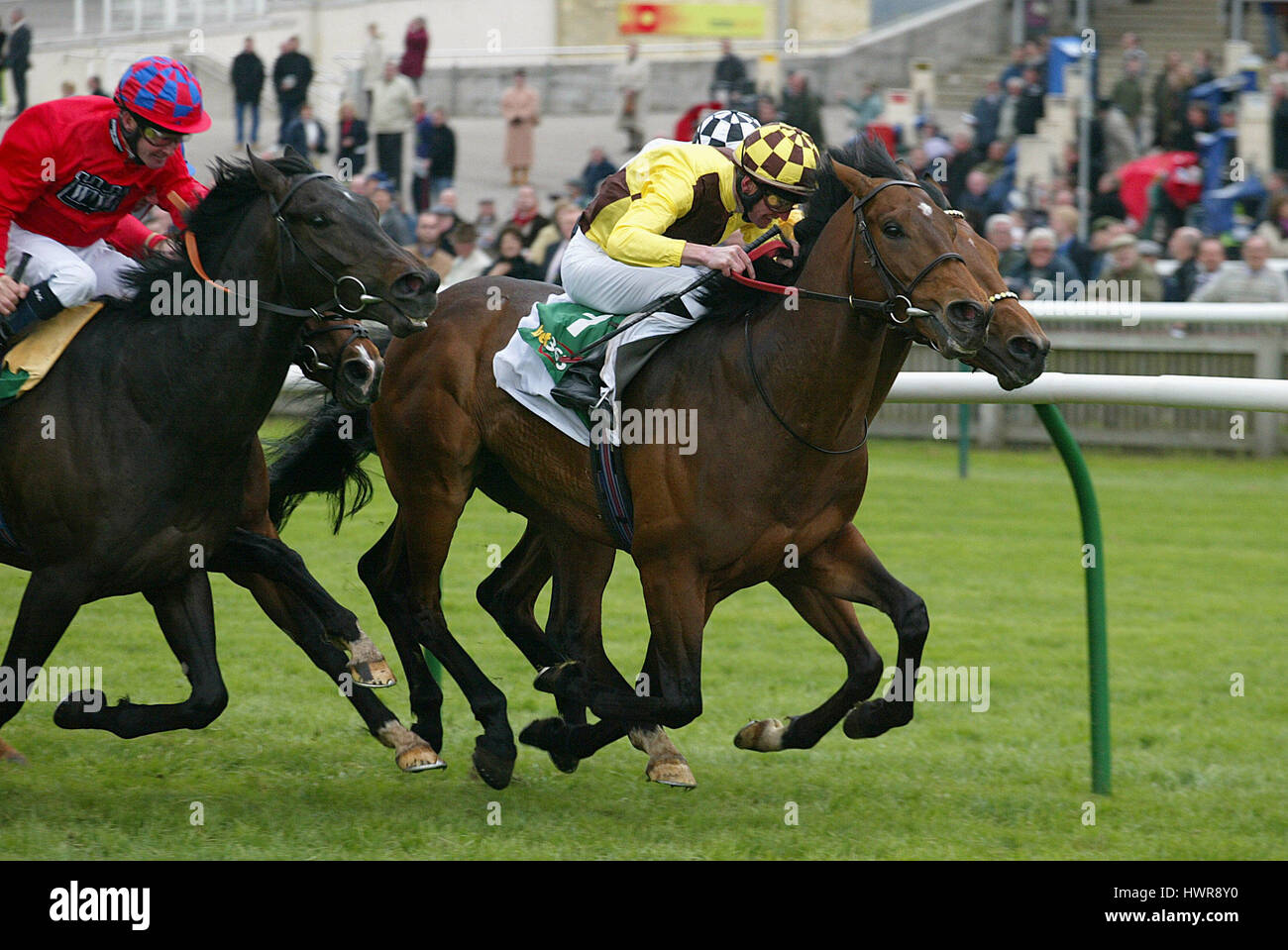 DEMOKRATIEDEFIZIT, GERITTEN von K.J.MANNING NEWMARKET NEWMARKET RACECOURSE 14. April 2005 Stockfoto