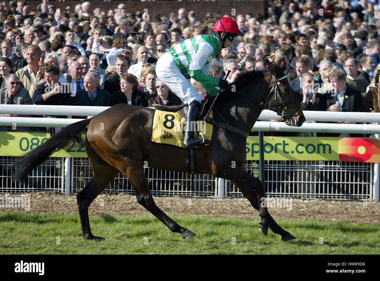 COURANT d GERITTEN von P.J.BRENNAN CHELTENHAM RACECOURSE CHELTENHAM 18. März 2005 Stockfoto