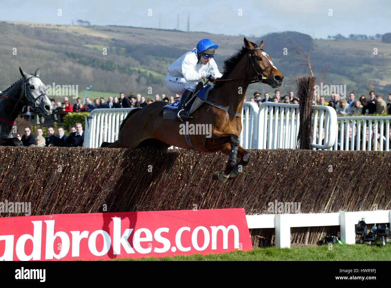 König HARALD NOVIZEN HANDICAP STEEPLE CHASE CHELTENHAM RACECOURSE CHELTENHAM 17. März 2005 Stockfoto