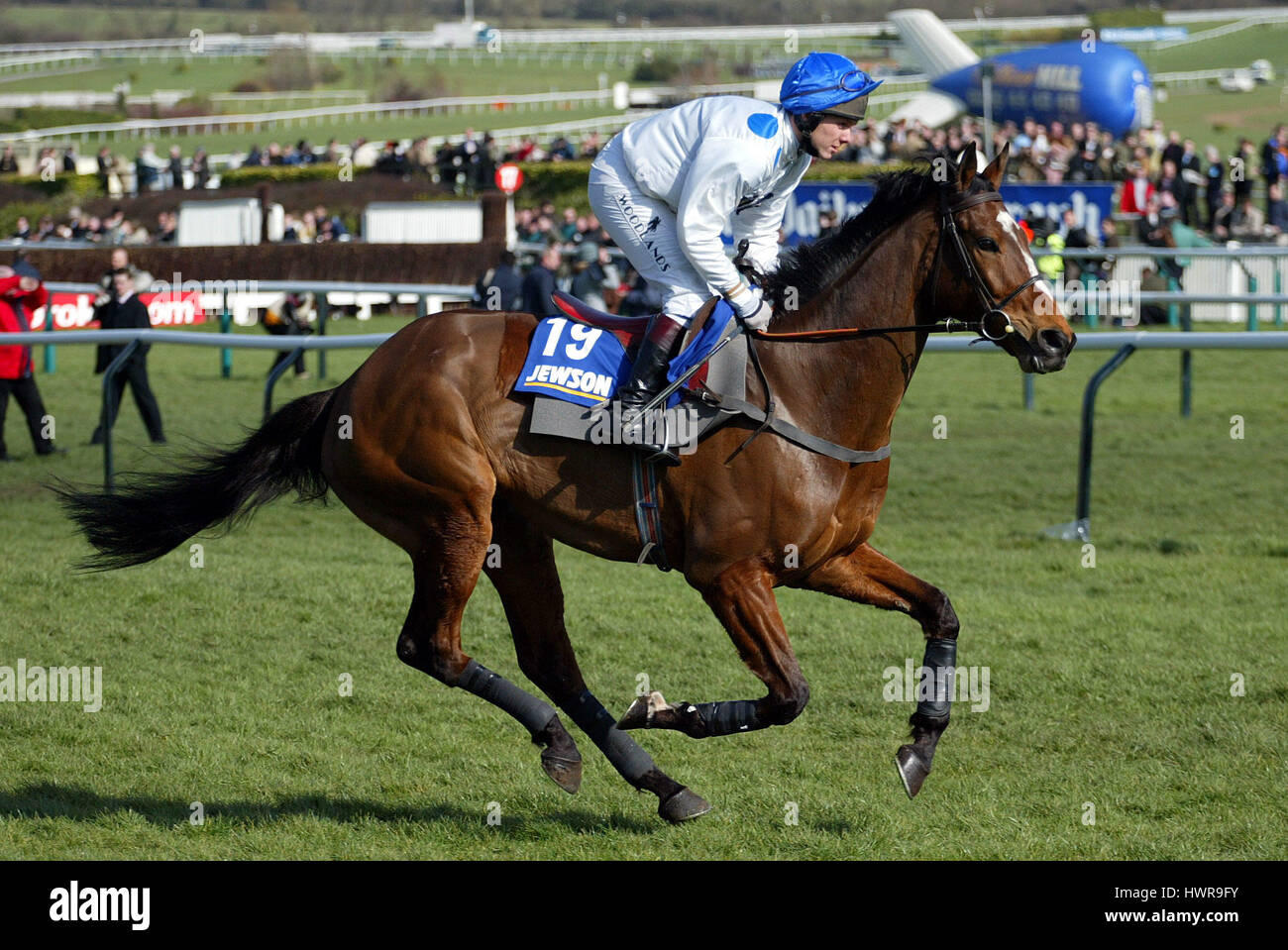 König HARALD GERITTEN von M.BATCHELOR CHELTENHAM RACECOURSE CHELTENHAM 17. März 2005 Stockfoto