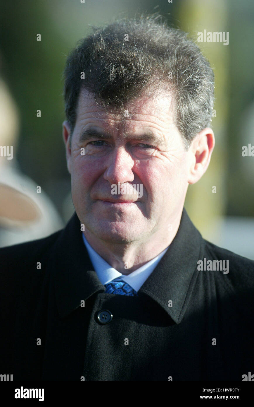 JOHN P MCMANUS RACE HORSE TRAINER CHELTENHAM RACECOURSE CHELTENHAM 13. November 2004 Stockfoto