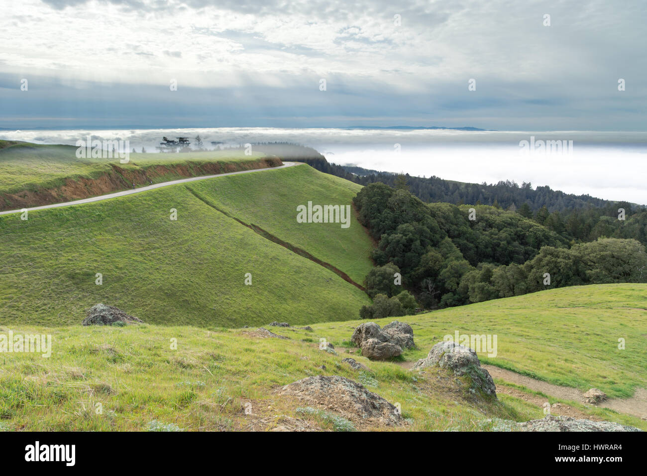 Mount Tamalpais Landschaft im Winter Stockfoto