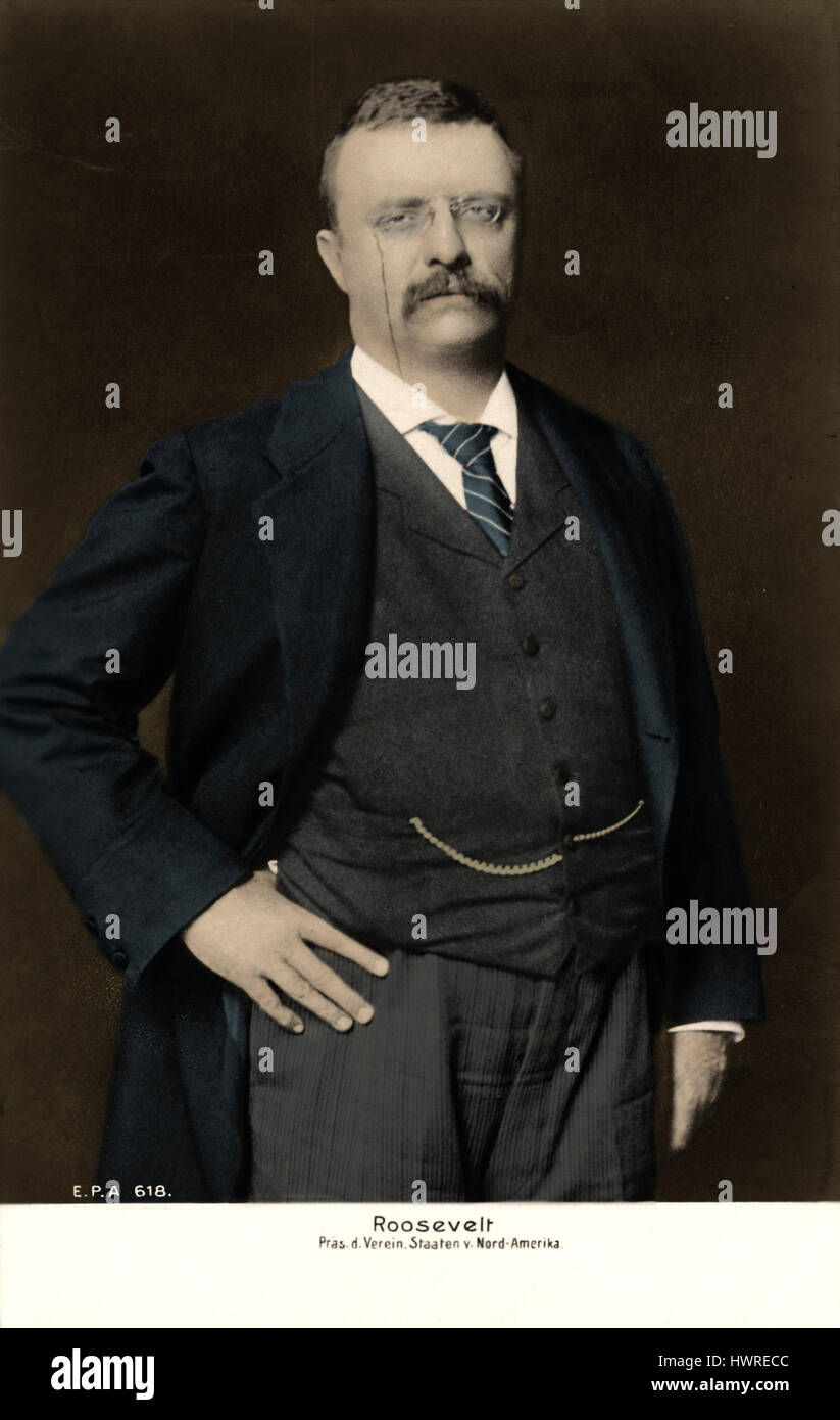 (Teddy) Theodore Roosevelt, Jr. - 26. Präsident der Vereinigten Staaten. 27. Oktober 1858 – 6. Januar 1919 Stockfoto