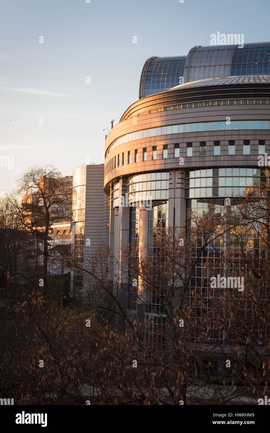 Detail des Europäischen Parlaments in Brüssel bei Sonnenaufgang Stockfoto