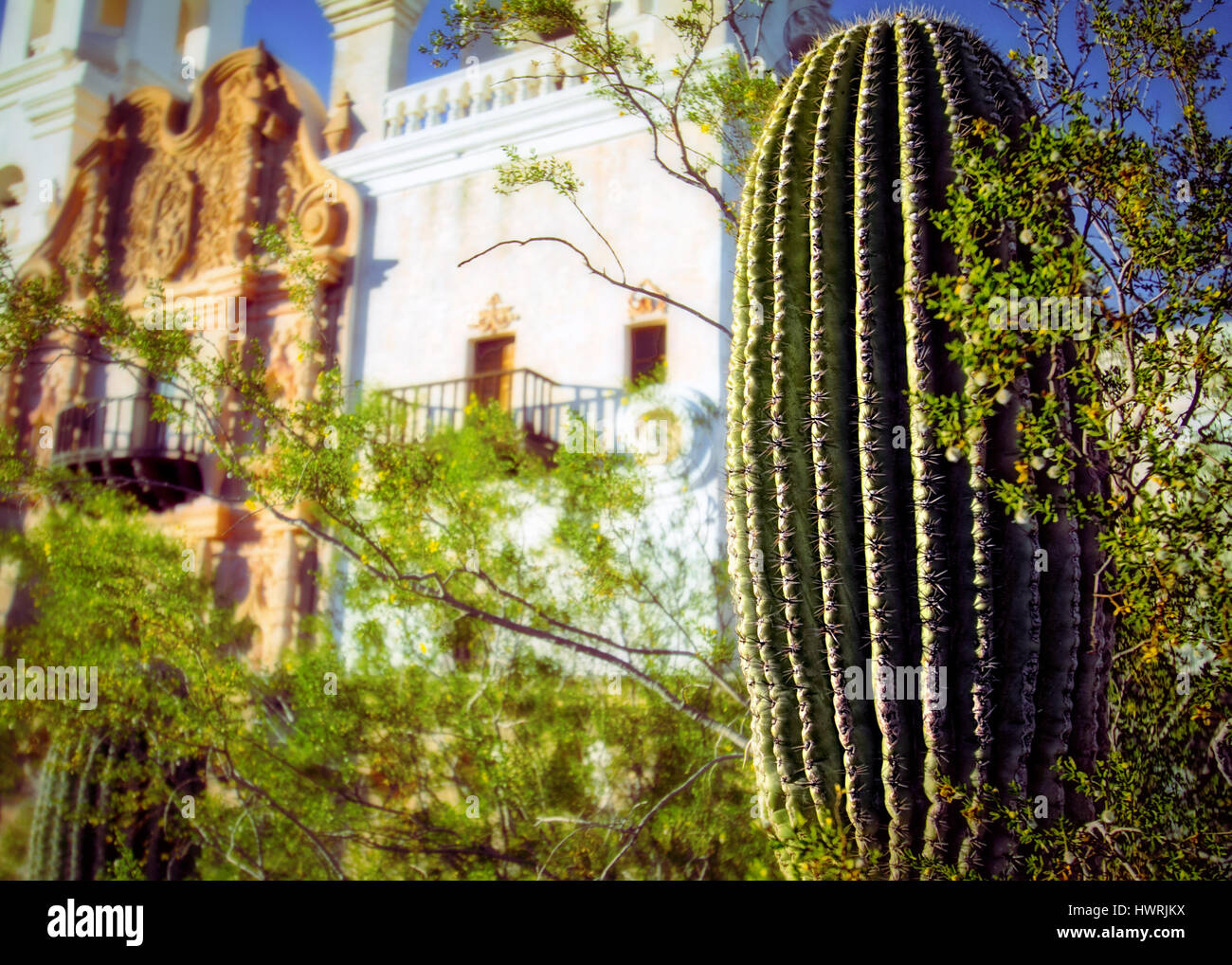 Ein Kaktus im Garten bei einem spanischen Mission. Stockfoto