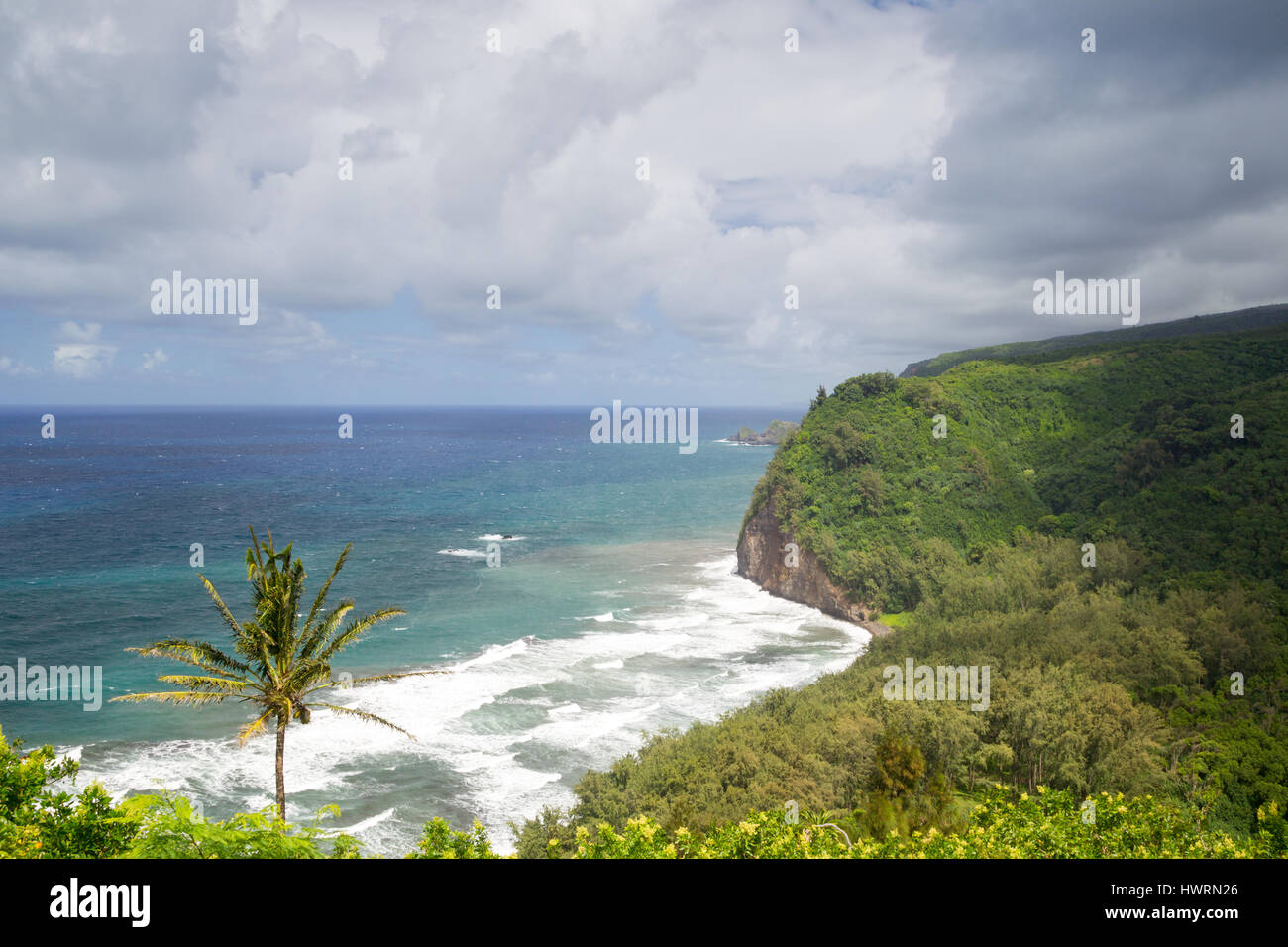 Blick auf die Nord Küste von Big Island, Hawaii, USA, im Pololu Valley. Stockfoto