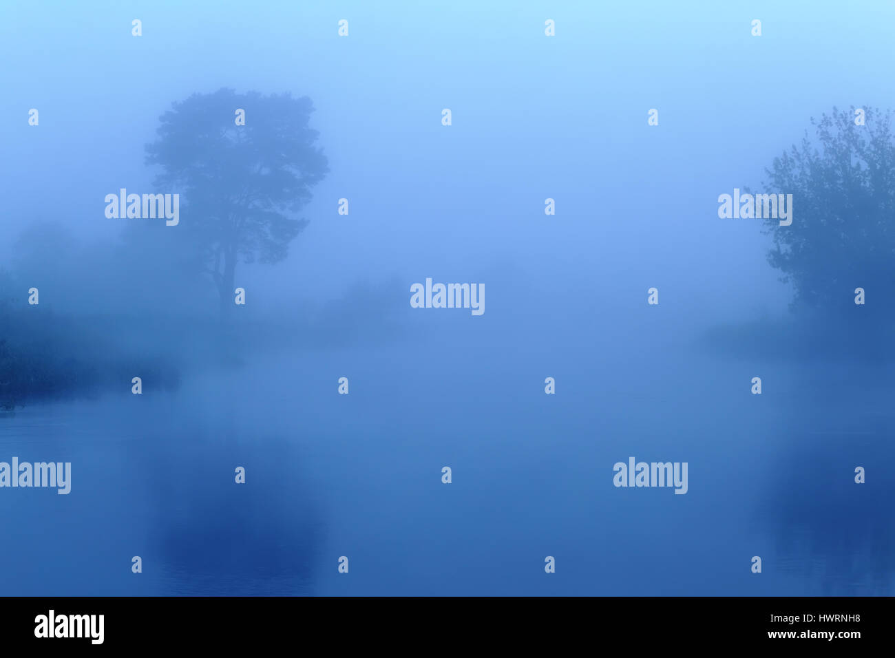 Nebel über den See am Morgen. Nebligen Morgen in blauer Farbe. Schönen guten Morgen Landschaft in Blautönen. Gute Einsamkeit Konzept Hintergrund. Stockfoto