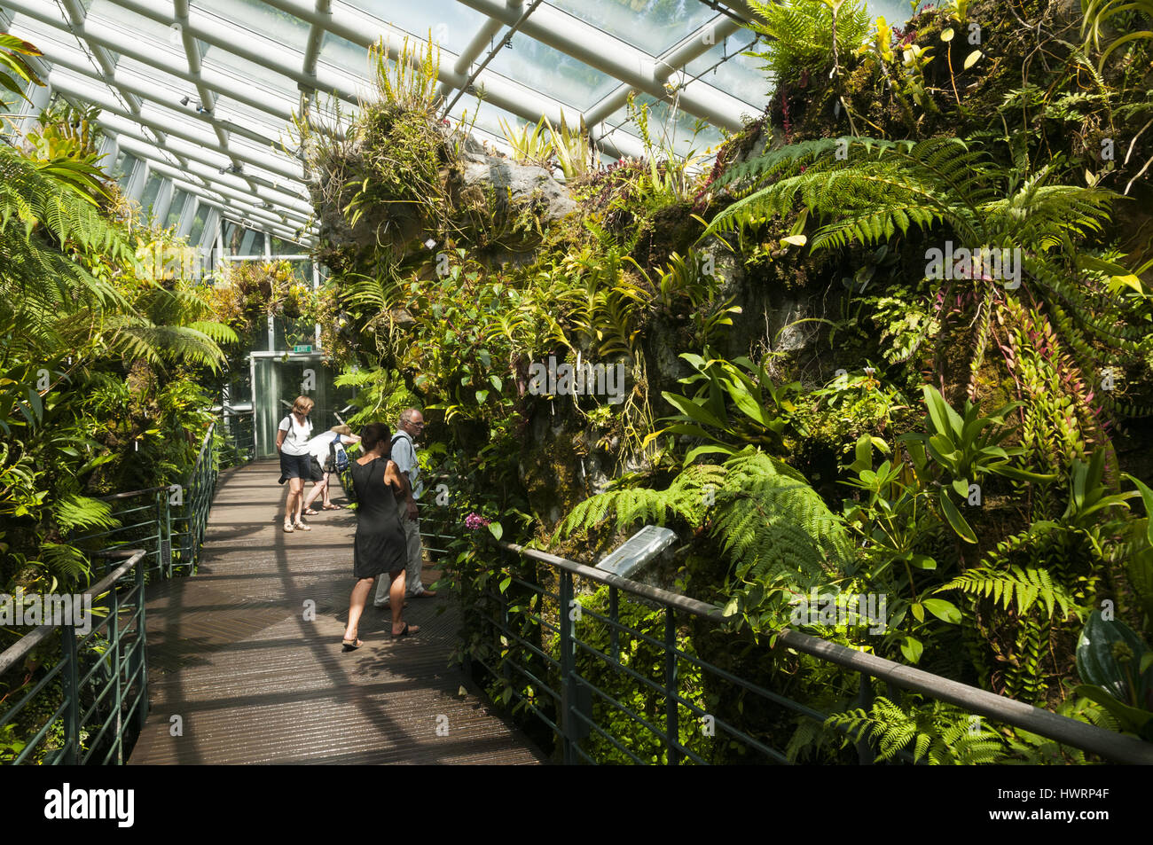 55+ Botanische Gärten Von Singapur, Gegründet im jahr 1859, ist er