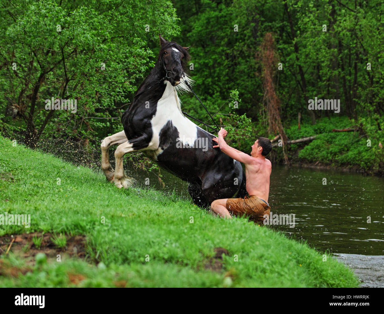 Der Junge fängt einen außer Kontrolle geratenen Pferd in den Fluss Stockfoto