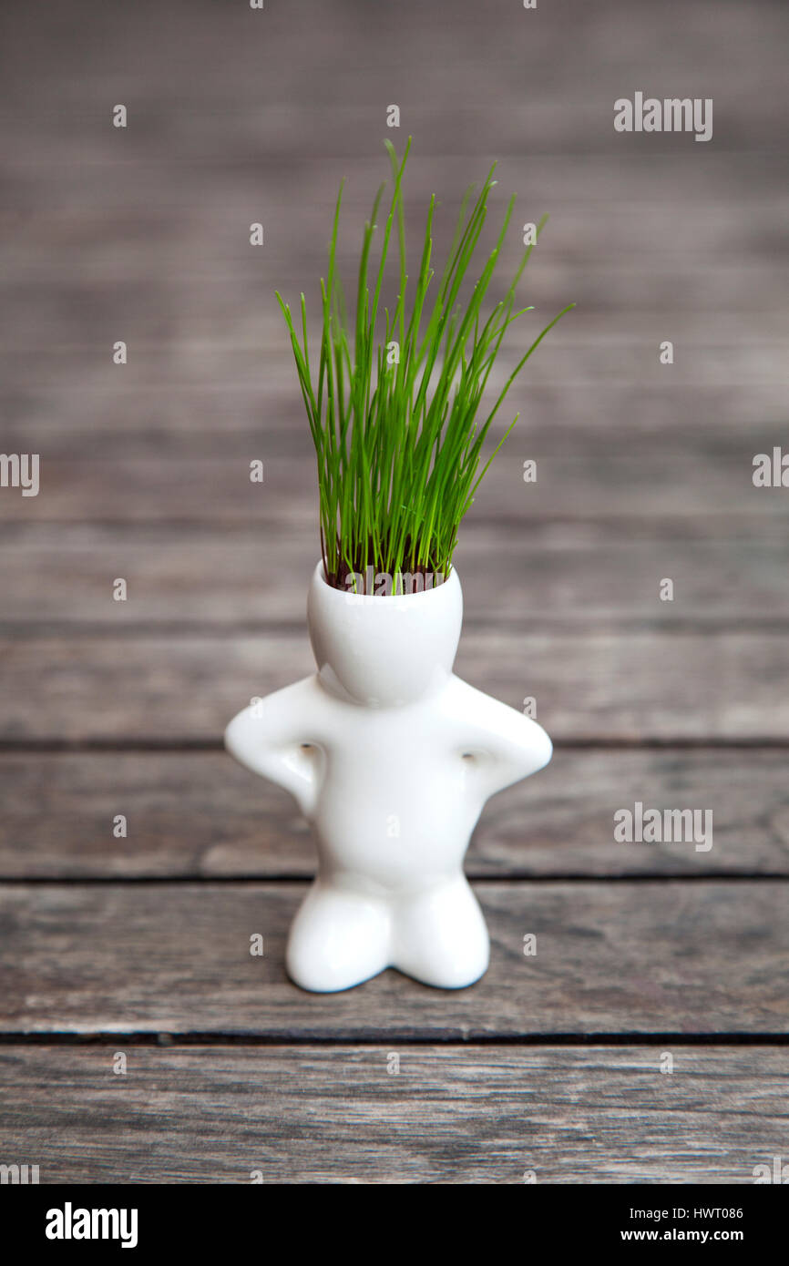 Rasen Sie wächst in einem Mann geformt Blumentopf. Zeit für einen Haarschnitt-Konzept-Bild. Stockfoto