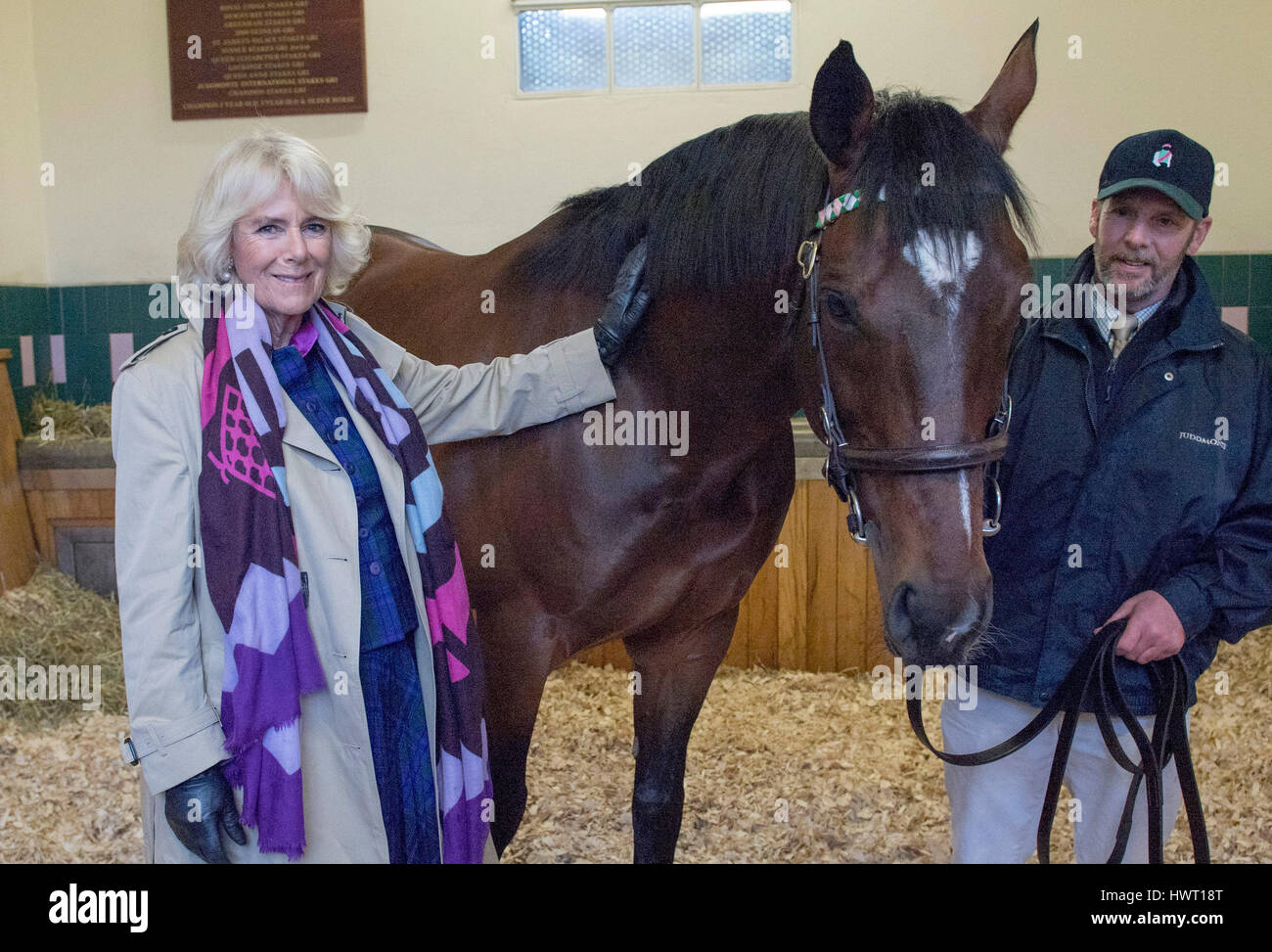 Die Herzogin von Cornwall mit Rob Bowley, trifft Frankel während ihres Besuchs in Banstead Manor Stud, Newmarket. Stockfoto