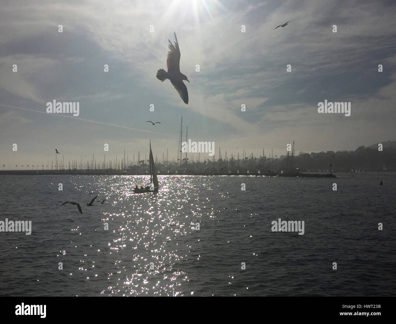 Vögel fliegen über Meer gegen Himmel während sonnigen Tag Stockfoto