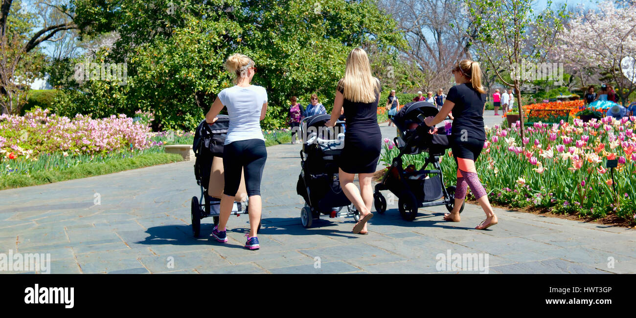 Dallas, Texas - 22 März 2017 Young Millennials Freunde mit Babys, für einen Frühlingstag spazieren im Park. Stockfoto