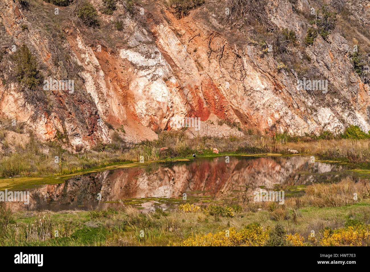 Kontraste im Überfluss in diesem Foto eines Berges spiegelt sich in einem Teich. Stockfoto