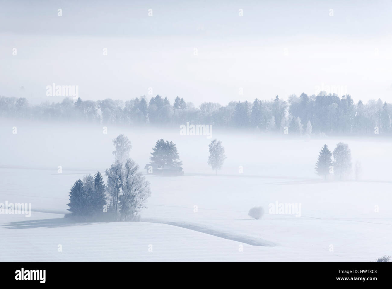 Morgennebel im Winter über Loisach Moor, Loisachtal in der Nähe von Großweil, Upper Bavaria, Bavaria, Germany Stockfoto