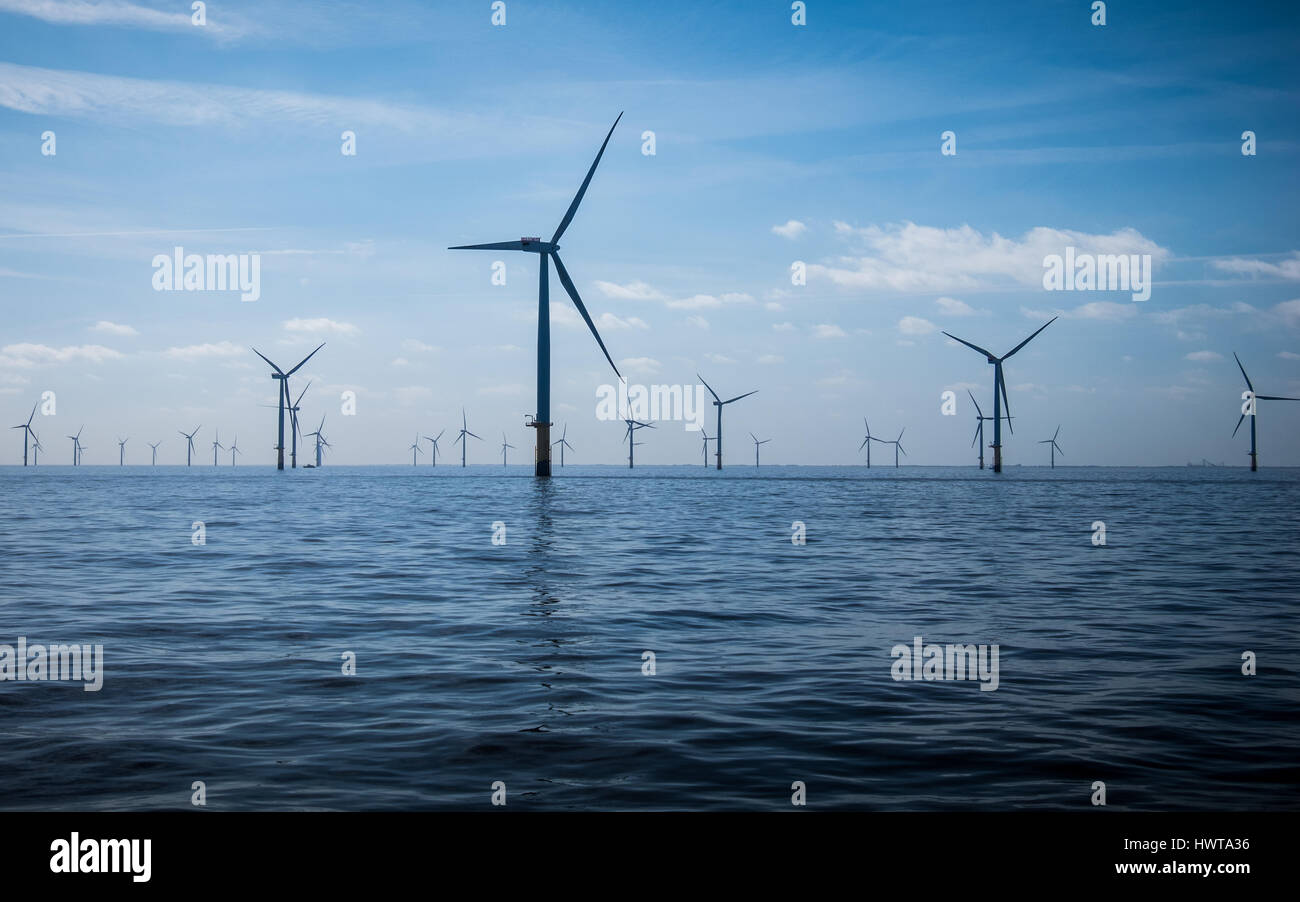 Turbinen der Lincs Offshore-Windpark vor der Küste von Lincolnshire, UK Stockfoto
