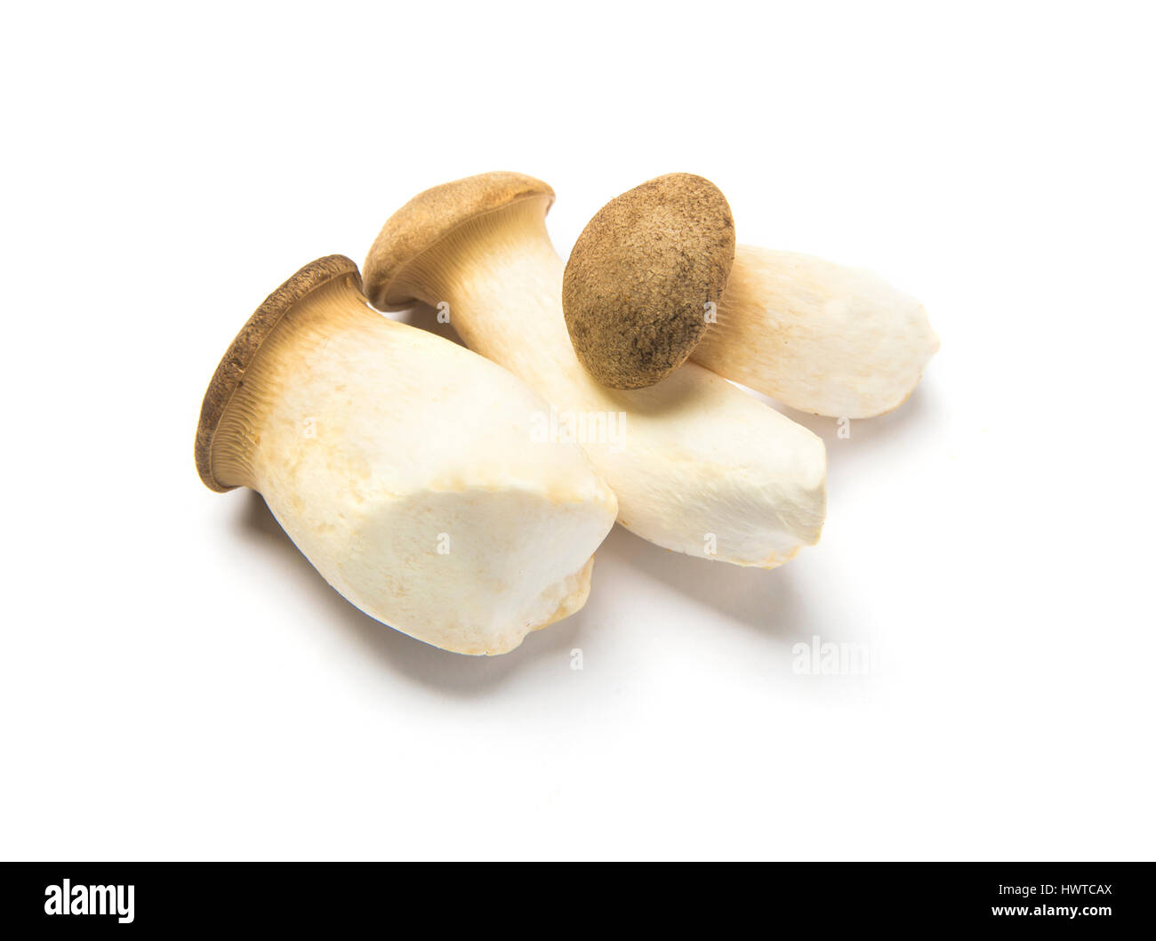 drei Pilze aus Girgola Stil Stockfoto