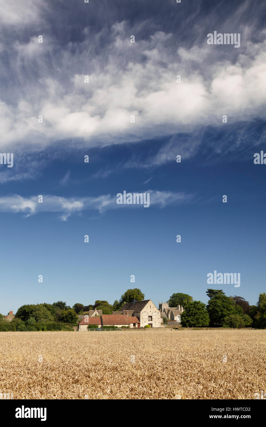 Fernsicht auf über ein Weizen in Richtung umgebauten Scheunen und Dorfkirche im Dorf Somerford Keynes an einem Sommernachmittag. Stockfoto