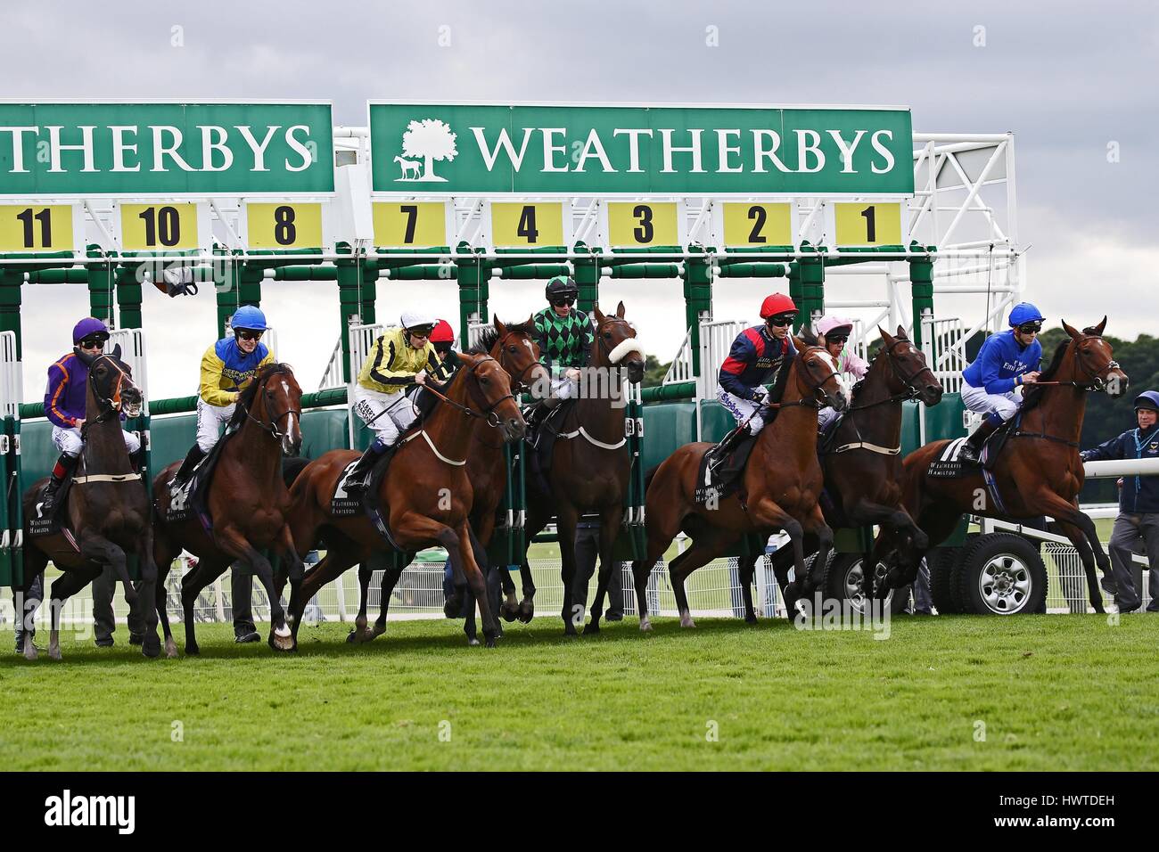 RENNPFERDE verlassen Tor WEATHERBYS HAMILTON WEATHERBYS HAMILTON LONSDA YORK RACECOURSE YORK ENGLAND 21. August 2015 Stockfoto