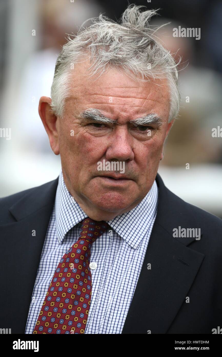 DAVID BARRON Rennen Pferd TRAINER RACE HORSE TRAINER YORK RACECOURSE YORK ENGLAND 20. August 2015 Stockfoto