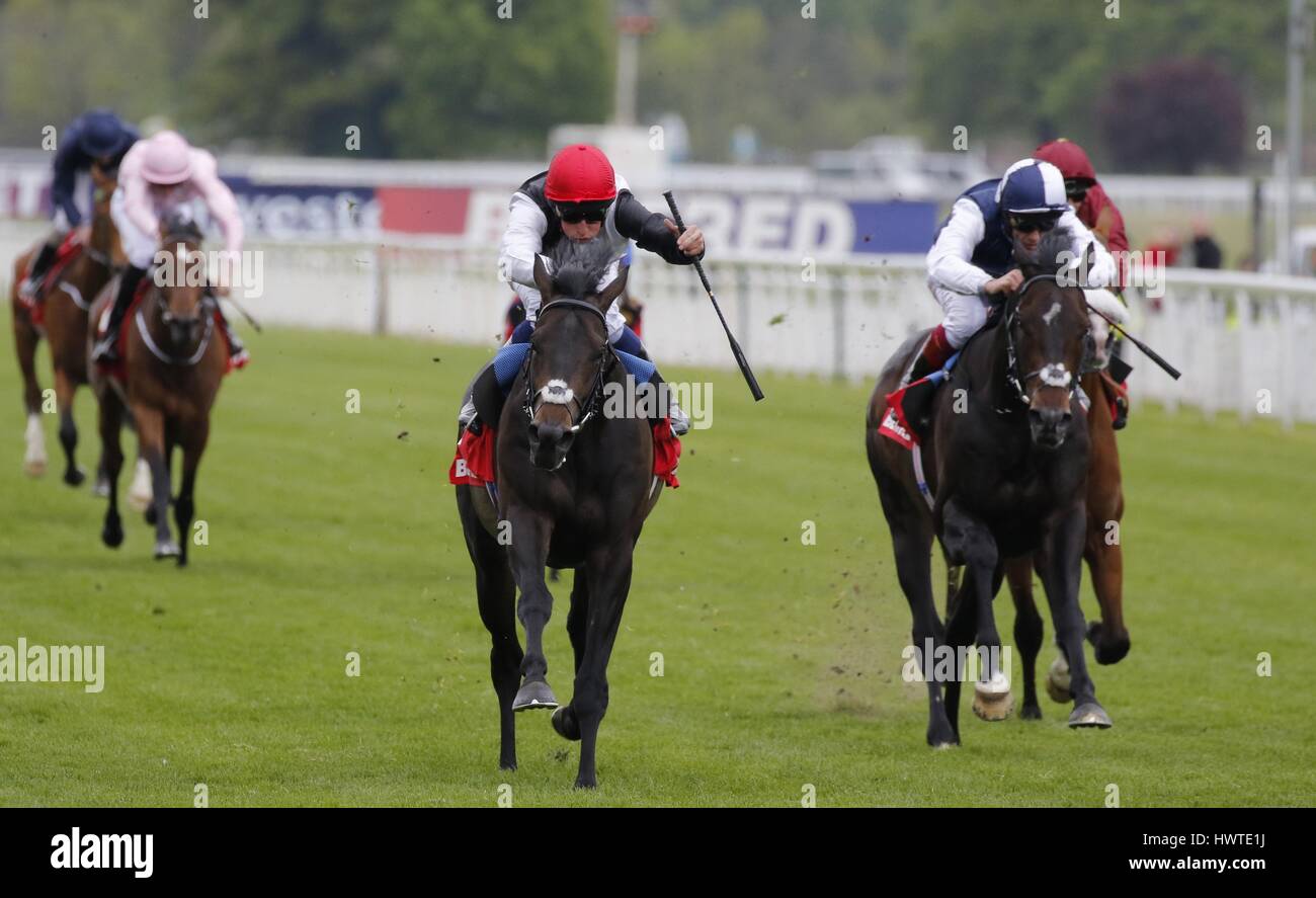 Goldene HORN GERITTEN von WILLIAM BETFRED DANTE STAKES YORK RACECOURSE YORK ENGLAND 14. Mai 2015 Stockfoto