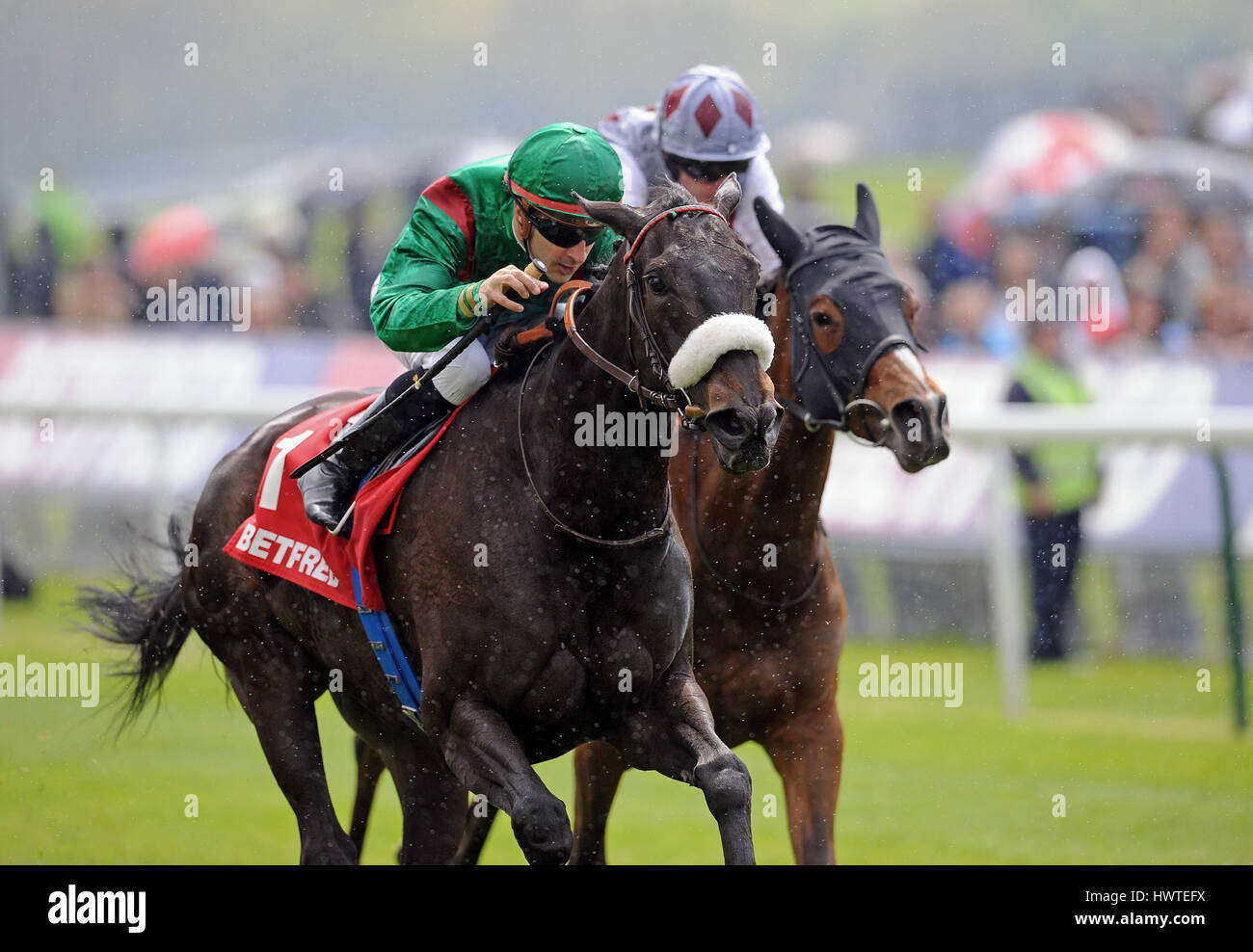 DALKALA BETFRED MIDDLETON Einsätze BETFRED MIDDLETON STAKES YORK RACECOURSE YORK ENGLAND 16. Mai 2013 Stockfoto