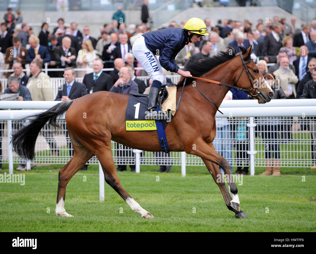 CRYSTAL-CAPELLA GERITTEN von RYAN MOORE YORK RACECOURSE YORK ENGLAND 14. Mai 2009 Stockfoto