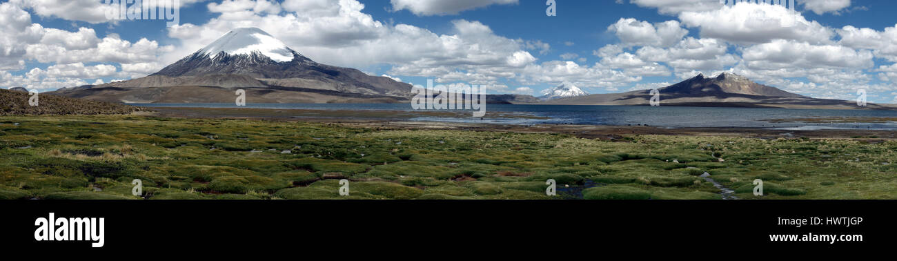 Panorama-Bild Show Lago Chungará und die Vulkane Parinacota (Chile) und Sajama (Bolivien) Stockfoto