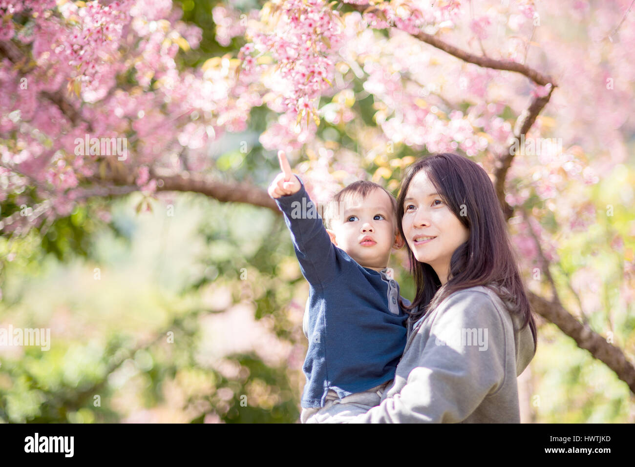 Asiatische Mutter halten Baby im Garten blühen Kirschblüten. Stockfoto