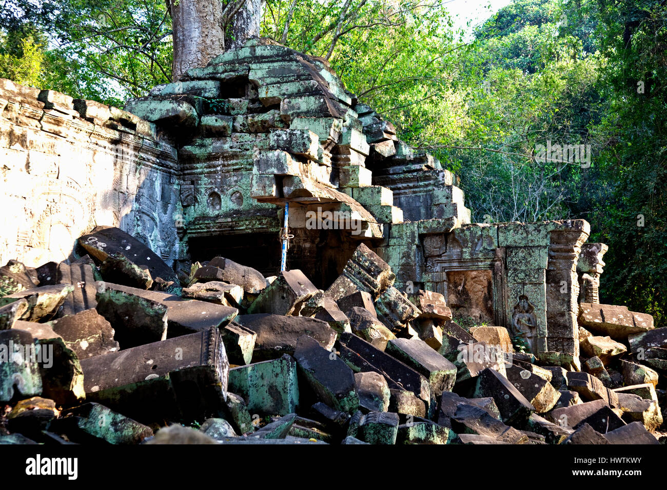 TA Phrom Tempel wird stabilisiert wird aber meistens bleibt unberührt, da UNESCO Ta Prohm auf die Welterbeliste eingeschrieben Stockfoto