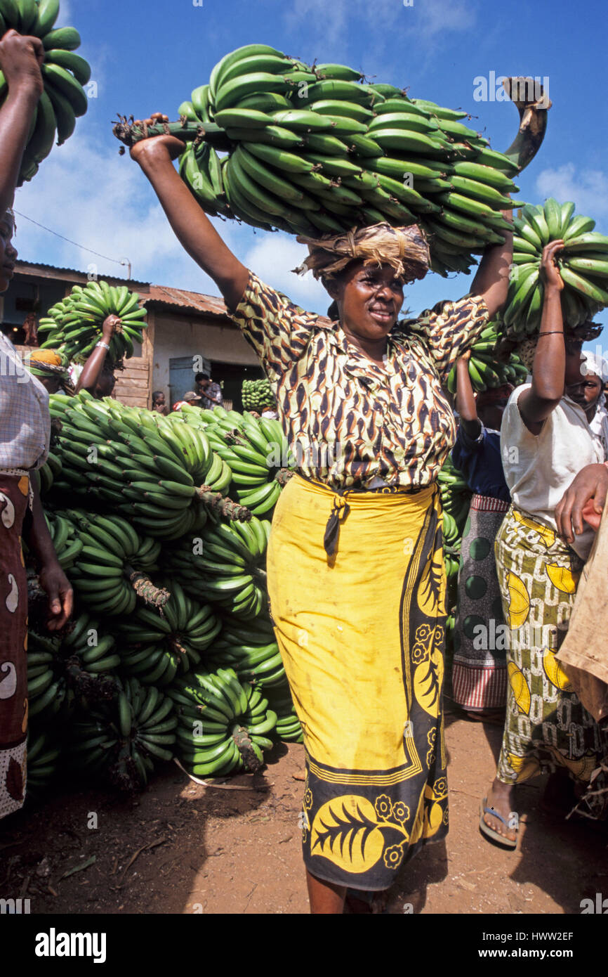 Frau trägt eine Reihe von Kochbananen auf dem Kopf zu einem Markt, Mwika, Kilimanjaro-Region, Tansania Stockfoto