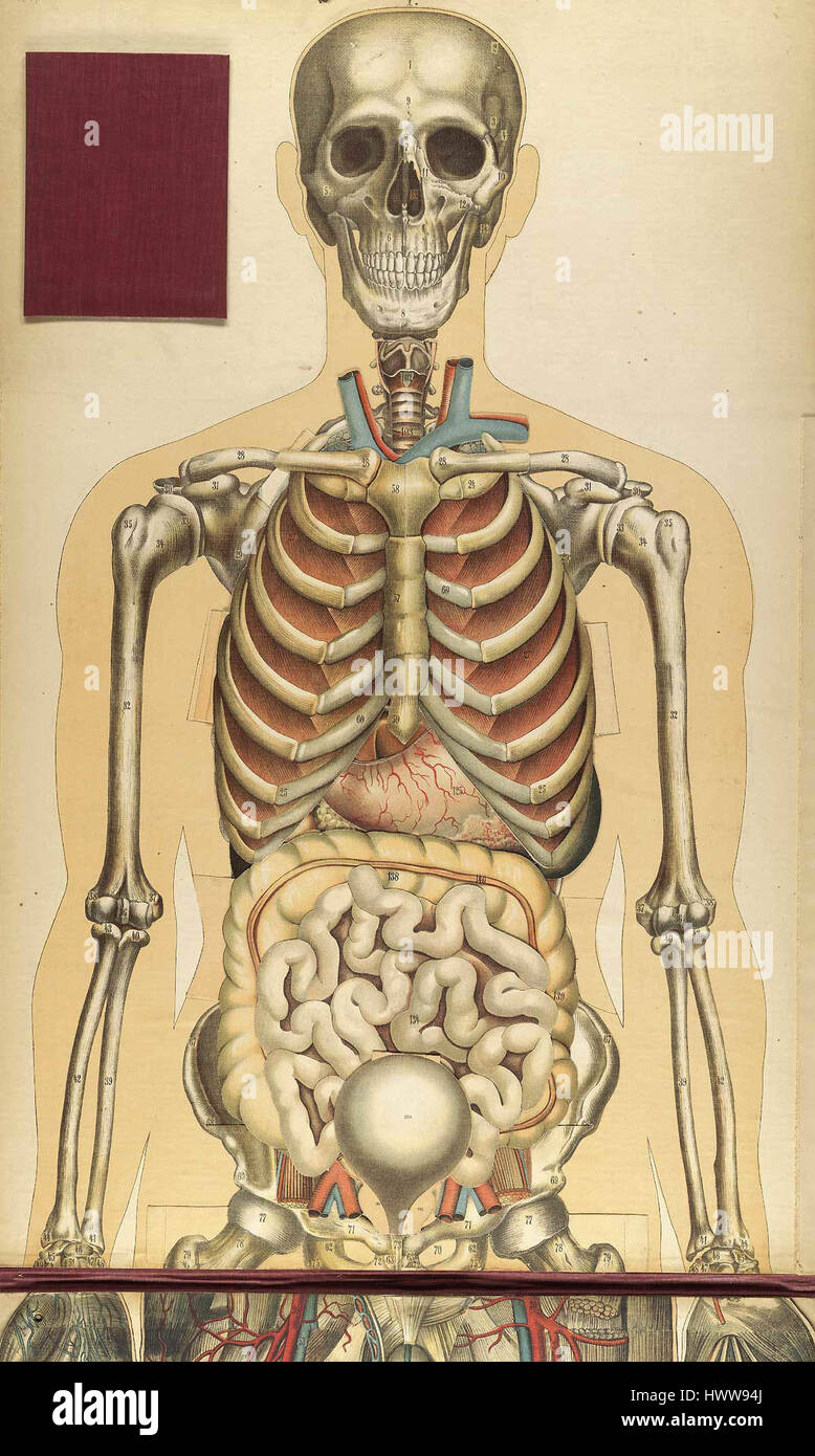 „Bougle top03“ scheint ein Begriff oder Name zu sein, der sich auf ein bestimmtes Objekt oder einen bestimmten Ort bezieht, möglicherweise auf einen geografischen oder historischen Standort oder eine bestimmte Kreation oder ein bestimmtes Modell. Stockfoto