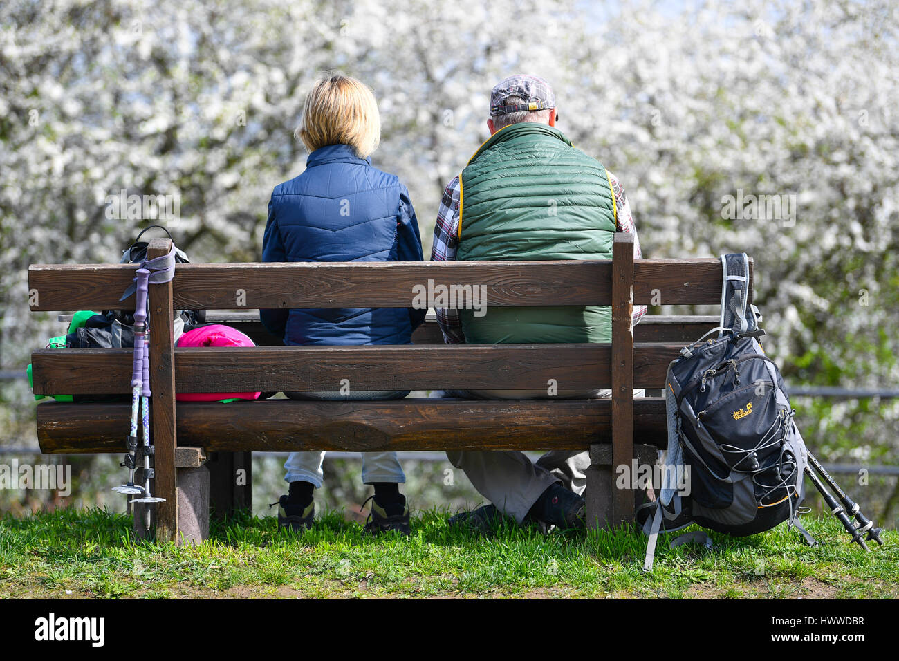 Zwei Personen bei einem Spaziergang mit Walking-Stöcke und Wandern Rucksäcke sitzen auf einer Bank am Mandelblüten-Panoramaweg (lit. Mandelblüte Panoramaweg), in dem Dorf Gimmeldingen (Rheinland-Pfalz, Deutschland) 23. März 2017. Das Mandelblütenfest (lit.) Mandel-Blüten-Festival) statt findet in Gimmeldingen am kommenden Wochenende (25-26 März). Foto: Uwe Anspach/dpa Stockfoto