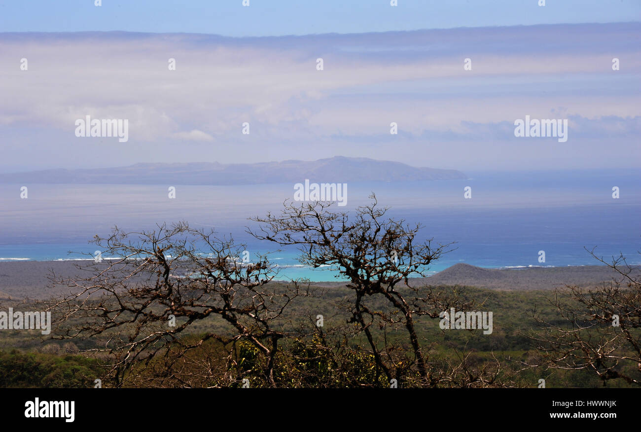 Santa Cruz, Ecuador. 20. Oktober 2016. Unterwegs im grünen Hochland auf Galapagos-Archipel Insel Santa Cruz. Aufgenommen am 20.10.2016. Foto: Reinhard Kaufhold/Dpa-Zentralbild/ZB | weltweite Nutzung/Dpa/Alamy Live-Nachrichten Stockfoto