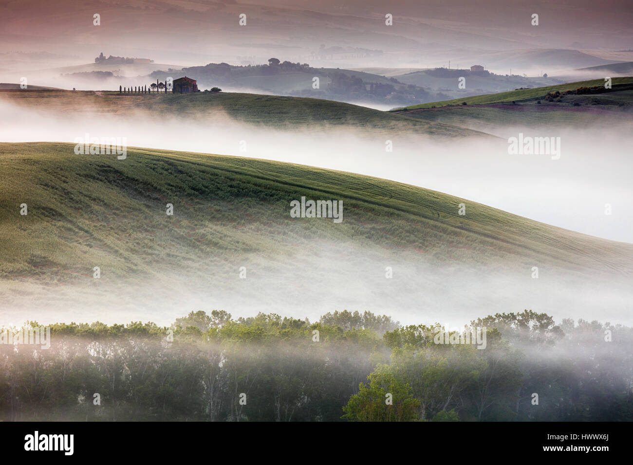 Morgennebel im wunderschönen Tal der Toskana Stockfoto