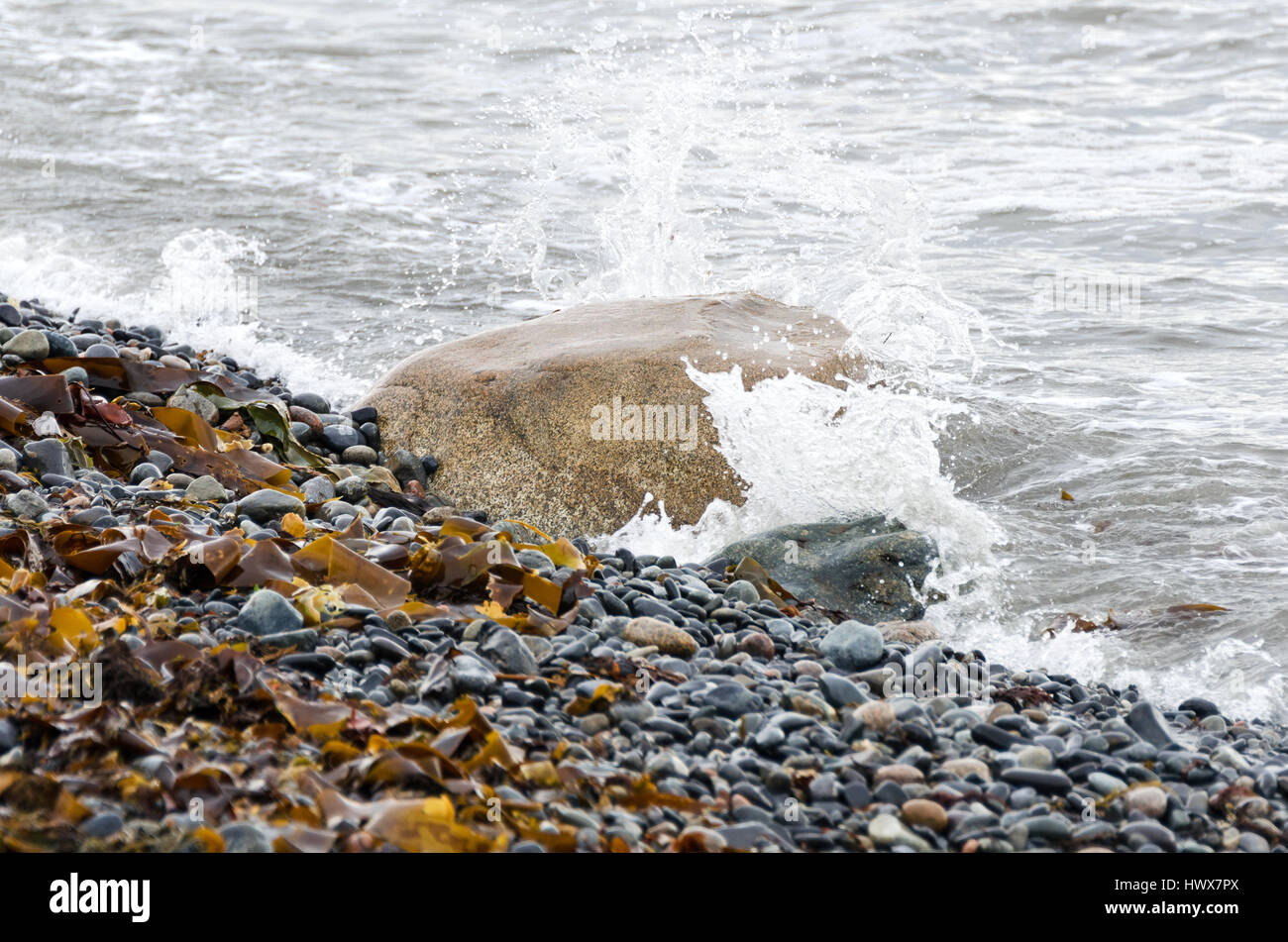 Wellen gegen einen Felsen an einem Strand Kopfsteinpflaster, kleine Cranberry Island, Maine. Stockfoto