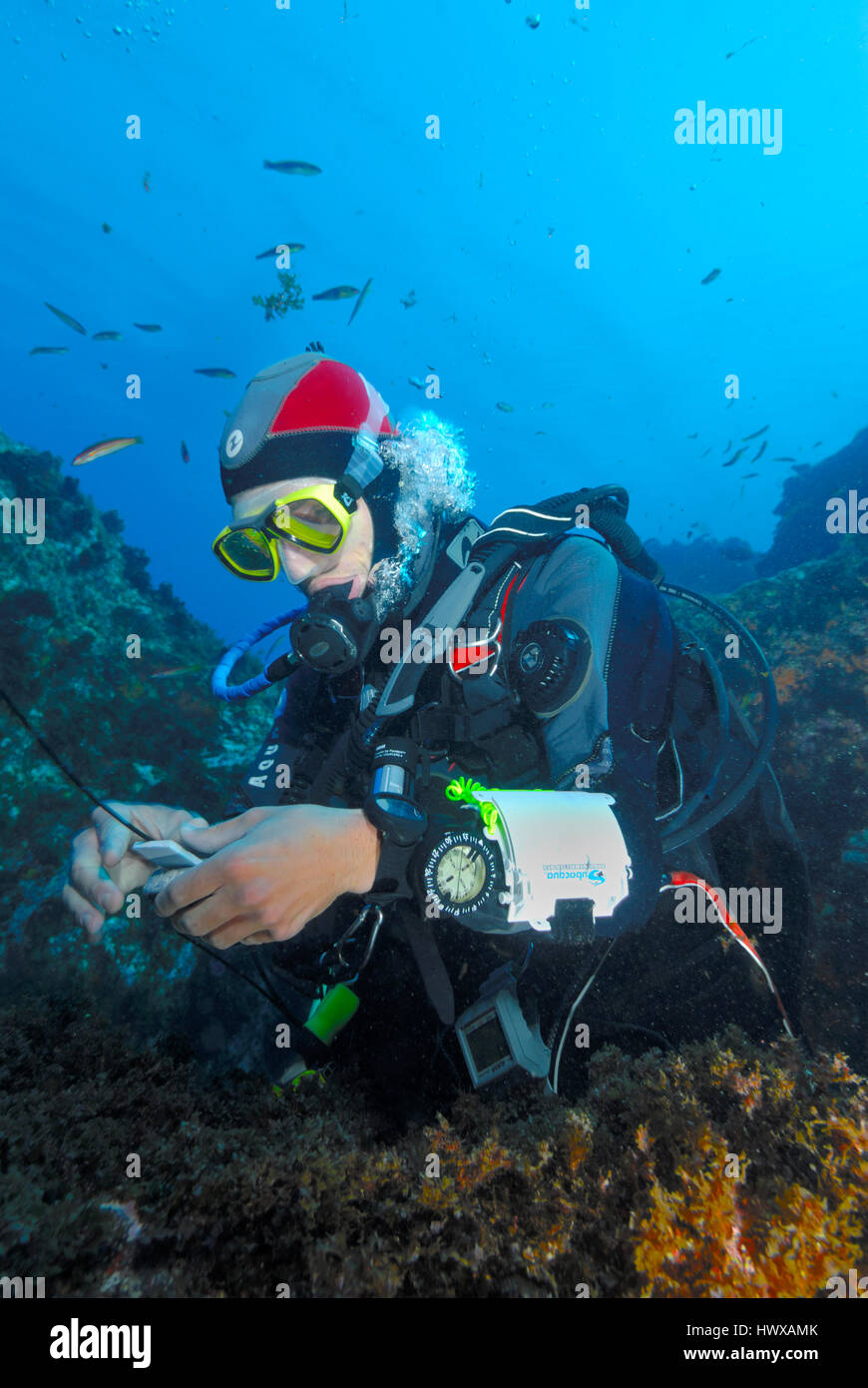 Taucher unter Wasser betrachten Ausrüstung am Meeresboden Stockfoto