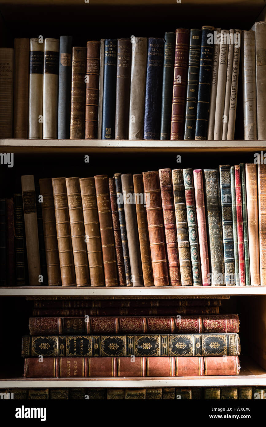 Das Licht des Fensters auf einige Regale voller Bücher Stockfoto