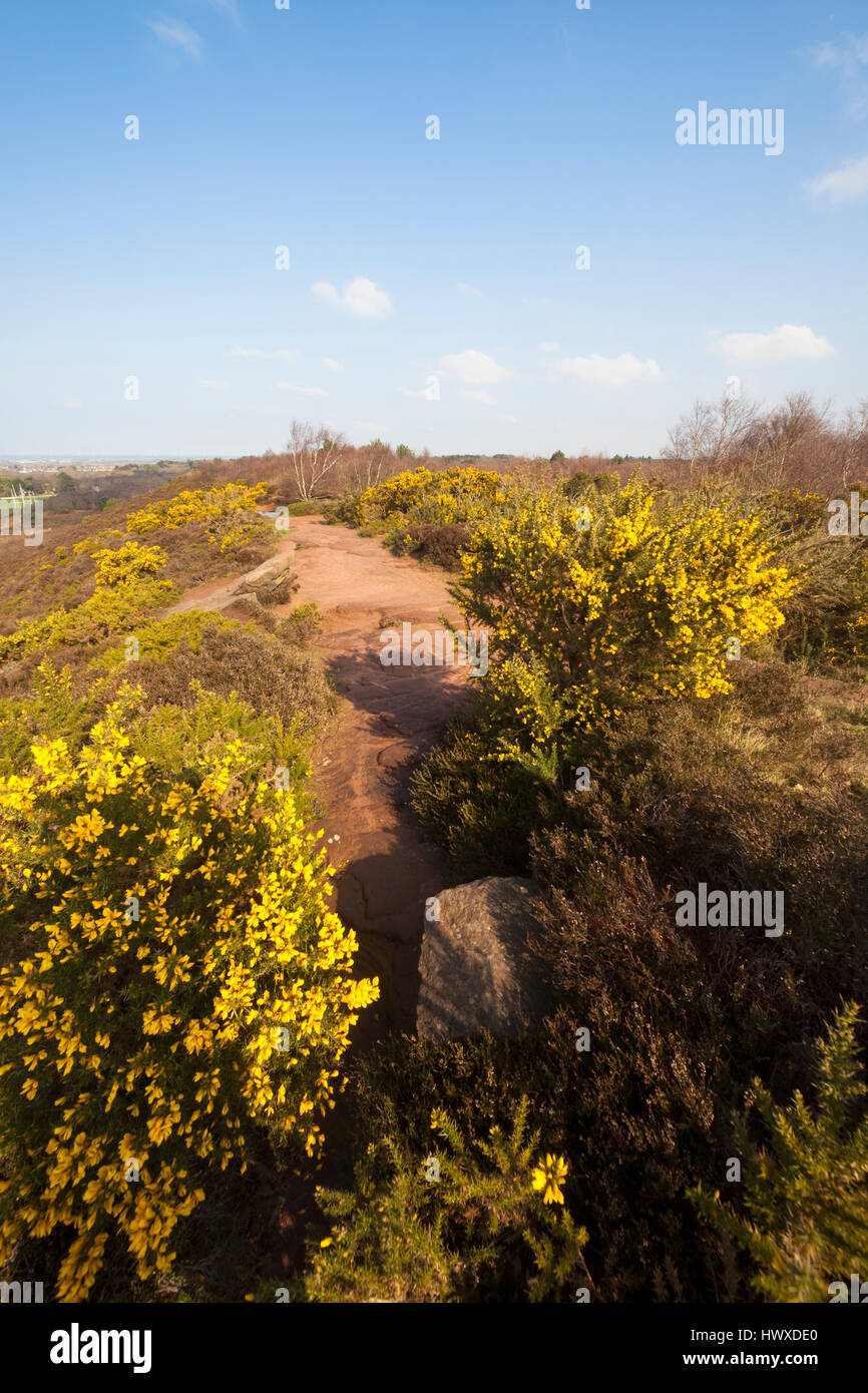 Die Spitze der Thurstaston Country Park, Wirral, NW, UK Stockfoto