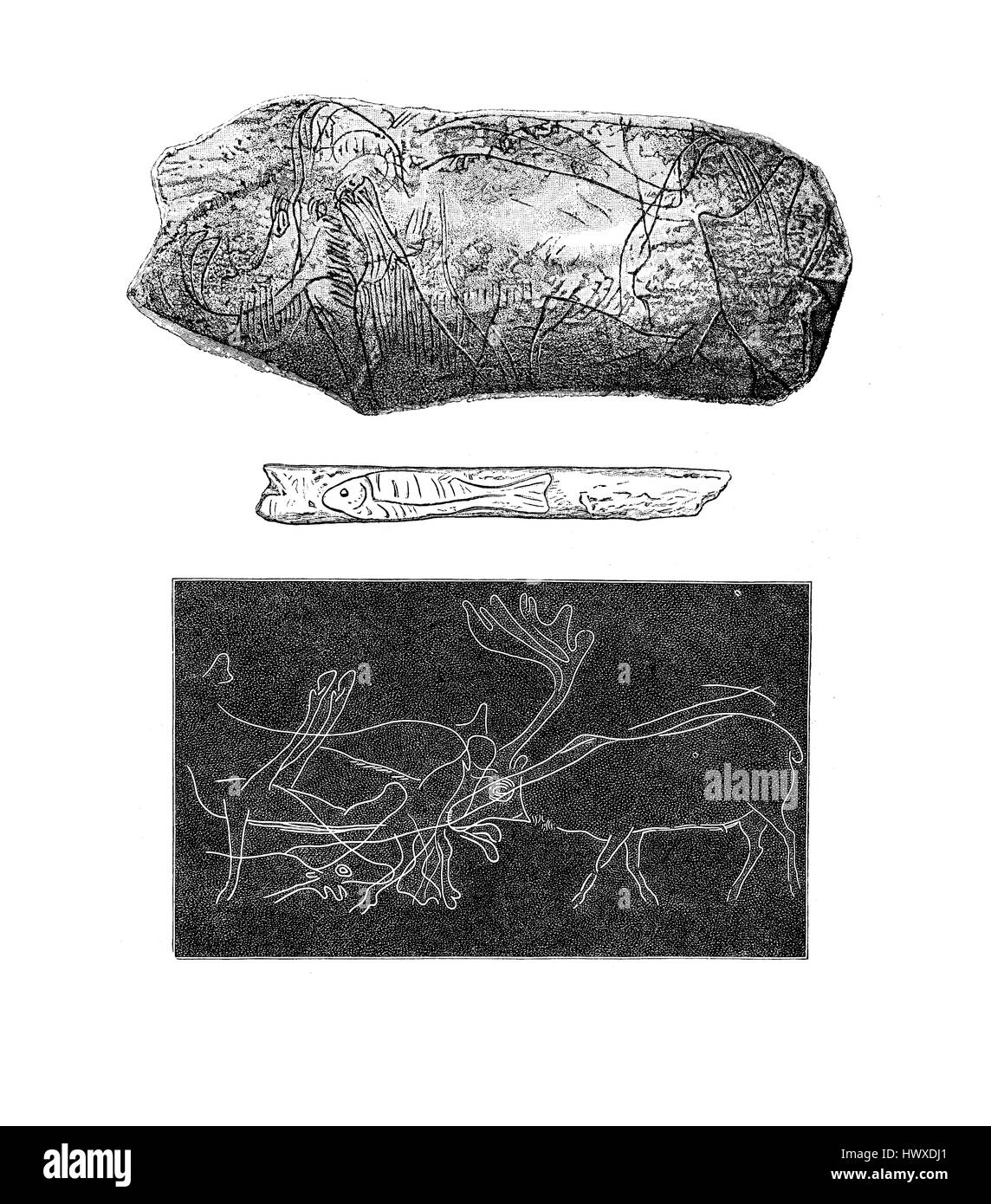 Ergebnisse der Magdalena Tierheim (Abri De La Madeleine) im Südwesten Frankreichs vom oberen Paleolihtic Alter: geschnitzt, Steinen und Graffiti Stockfoto
