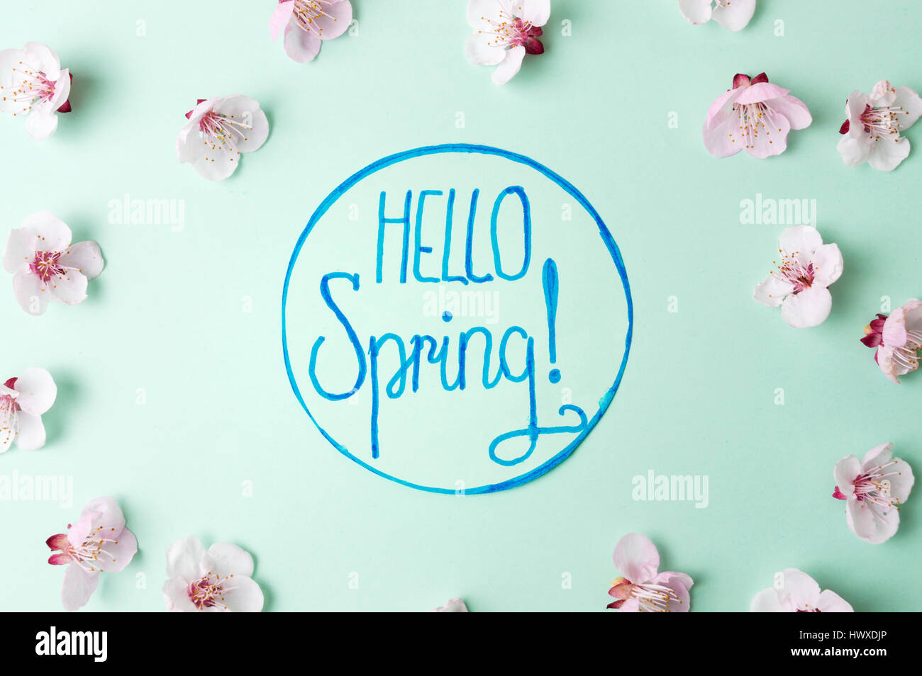 Hallo Frühling Kalligraphie mit Kirschblüten Blumen Stockfoto