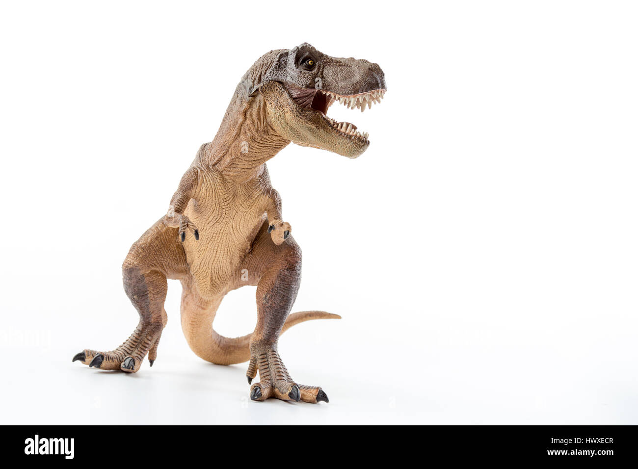 Dinosaurier Tyrannosaurus Rex mit Mund öffnen in Angriffsposition - weißer Hintergrund Stockfoto