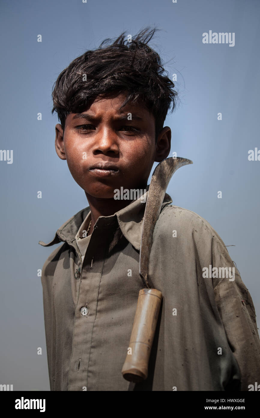 Kleiner Junge, ein Feldarbeiter, der während der Ernte in Sindh, Pakistan, mit seiner Sichel auf der Schulter posiert Stockfoto