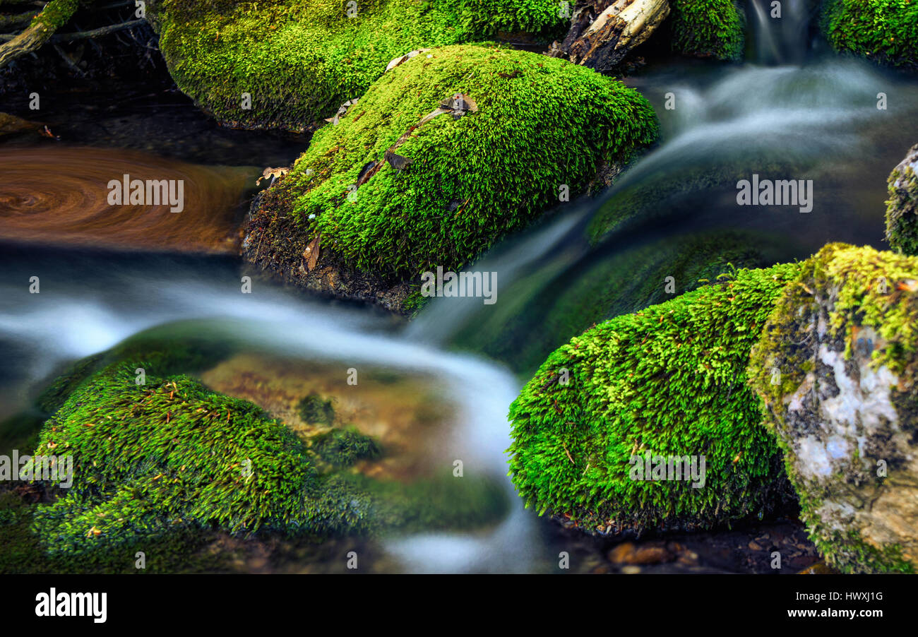 Gebirgsbach mit Steinen mit klarem Wasser.  Frühling hellen Hintergrund. Stockfoto