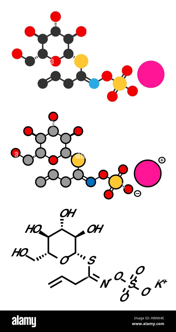 Sinigrin Glucosinolat Molekül. Präsentieren Sie in einige Kreuzblütler Gemüse (Rosenkohl, Brokkoli, schwarzer Senf, usw.). Stilisierte 2D Renderings und c Stock Vektor
