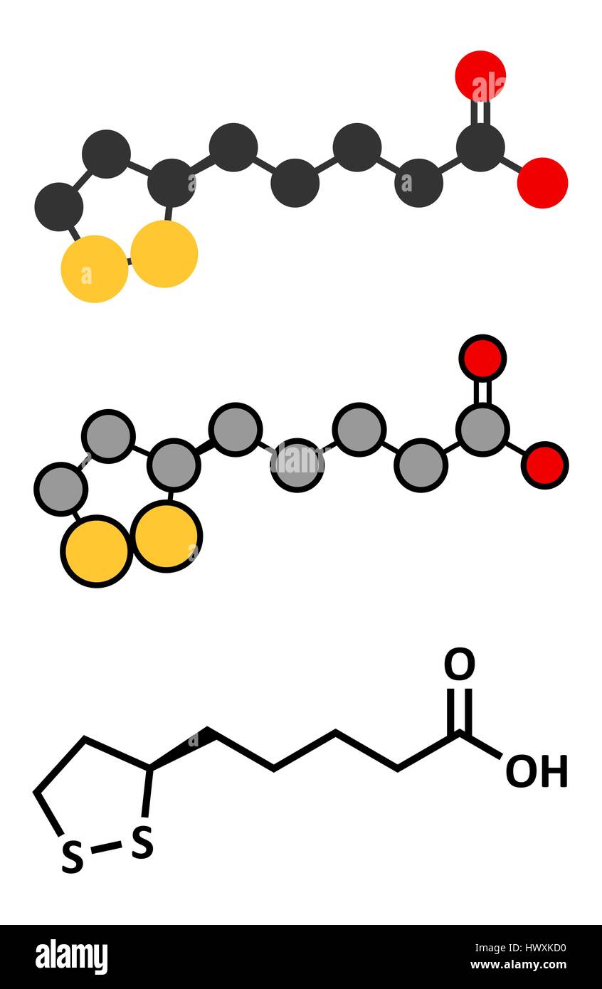 Lipoic Säure Enzym Cofaktor Molekül. Präsentieren Sie in vielen Nahrungsergänzungsmitteln. Geglaubt, Antioxidationsmittel, Anti-Aging und Gewichtsverlust Effekte haben. Styl Stock Vektor